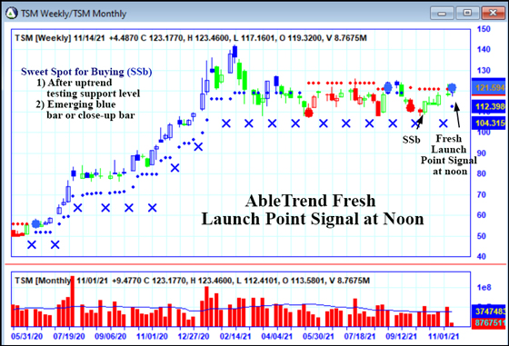 AbleTrend Trading Software TSM chart